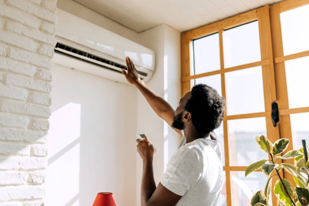 Best Ductless HVAC Repair  in Bement, IL